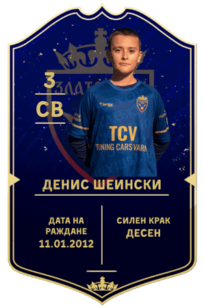 Денис Шеински11.02.2012