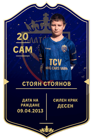 Стоян Стоянов09.04.2013